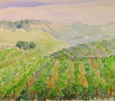 Hilly Vineyards