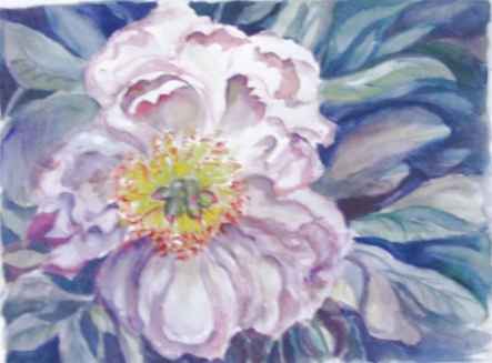 Peonie